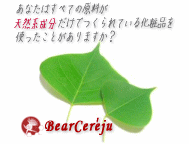 あなたはすべての原料が天然系成分だけで作られている化粧品を使ったことがありますか?